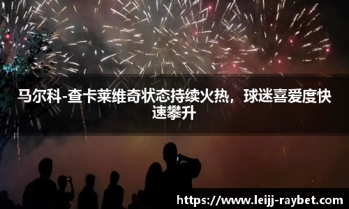 马尔科-查卡莱维奇状态持续火热，球迷喜爱度快速攀升